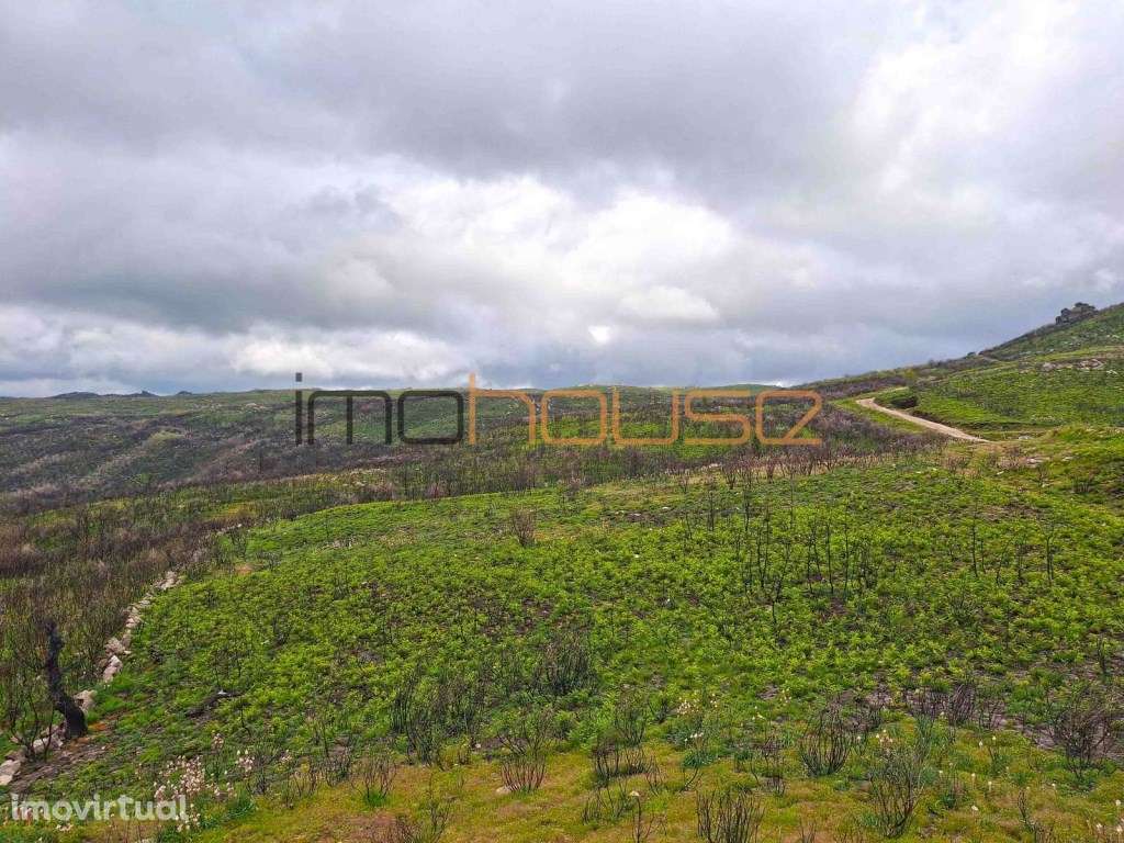 Quinta de 36 hectares - Várias edificações - Grande imagem: 2/54