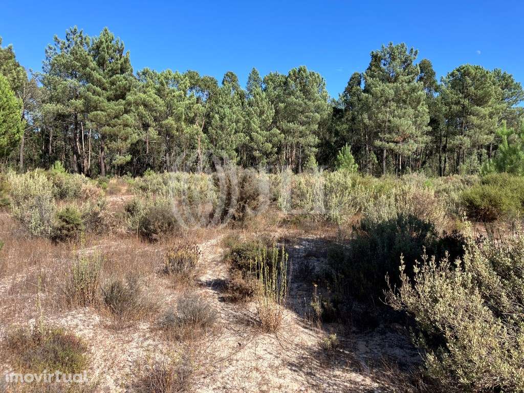 Terreno no Muda Reserve, Comporta - Grande imagem: 5/20