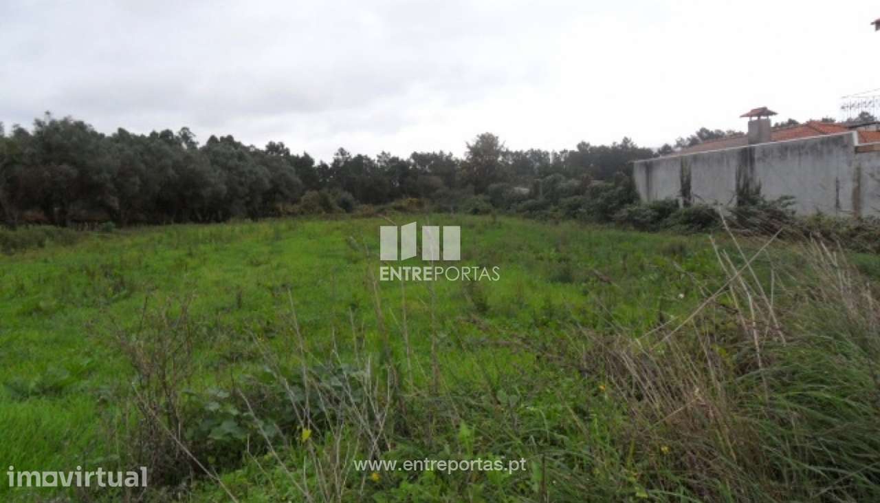 Terreno Agrícola - Santa Marta de Portuzelo - Grande imagem: 3/5