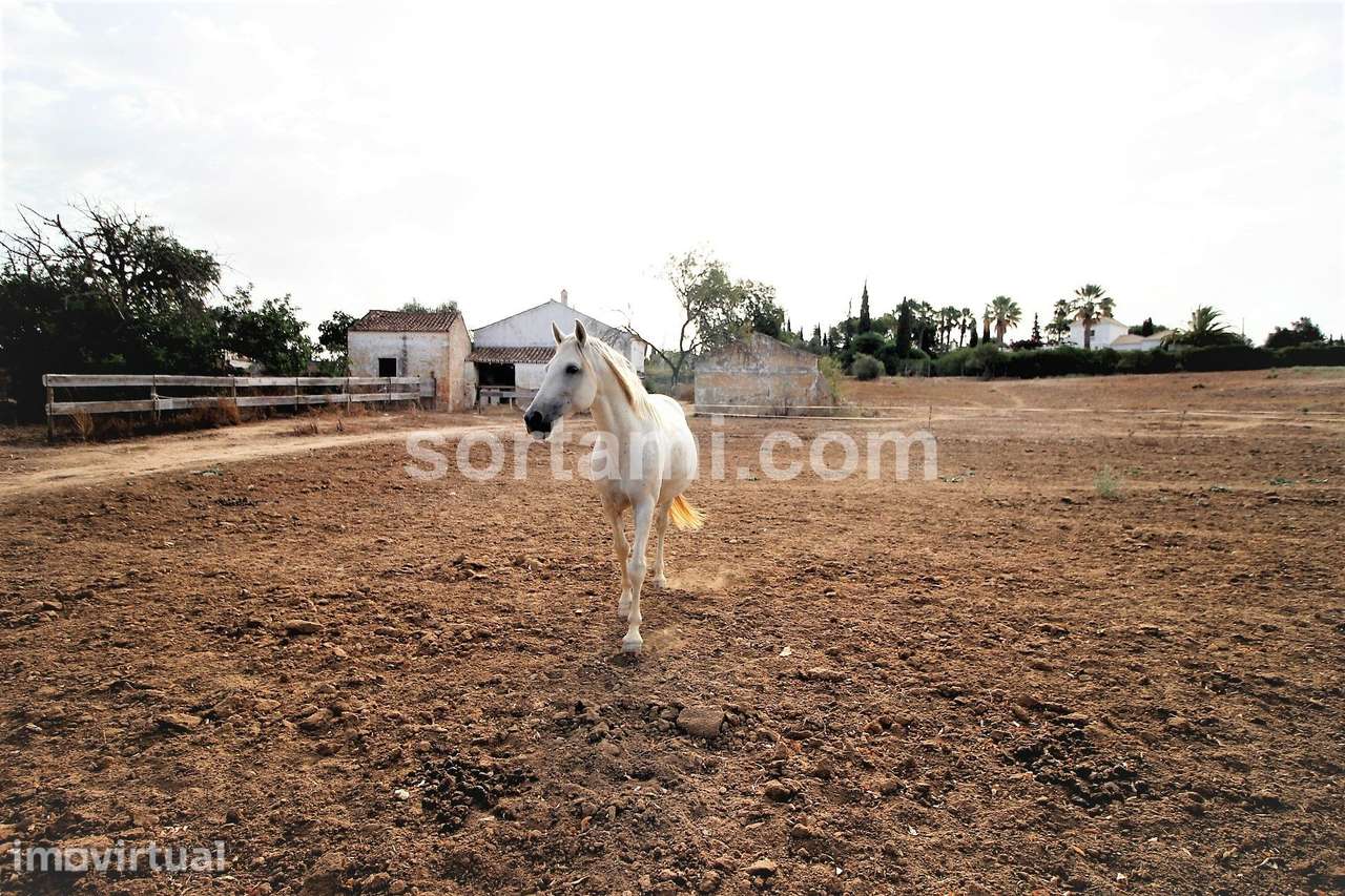 Moradia Devoluta T3 Venda em Lagoa e Carvoeiro,Lagoa (Algarve) - Grande imagem: 5/27