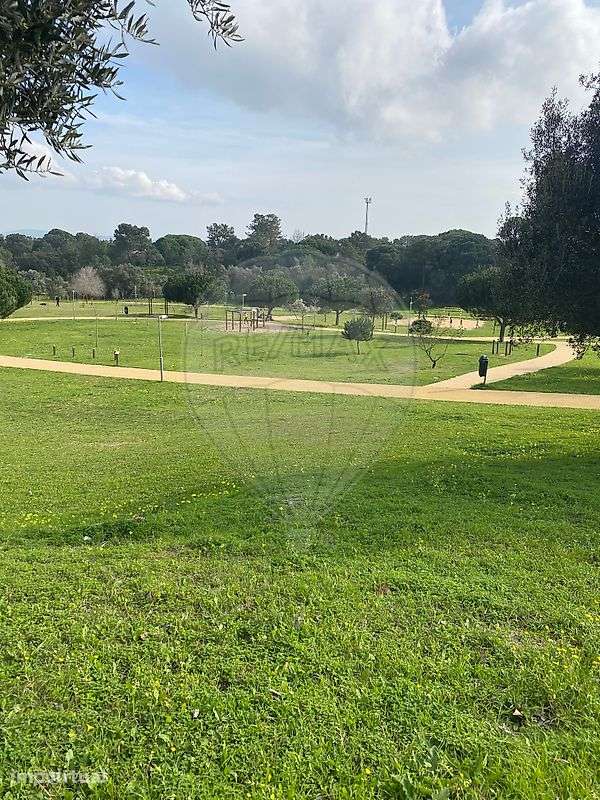 Apartamento T1 para arrendamento - Grande imagem: 3/24