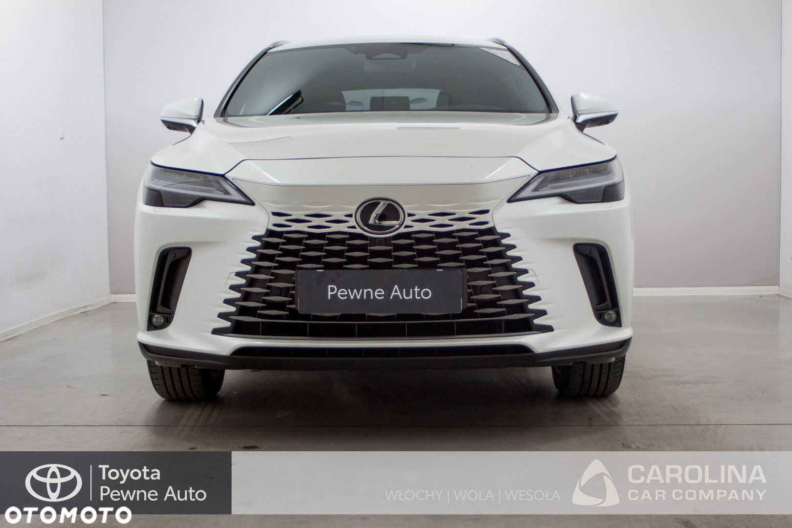 Lexus RX - 20