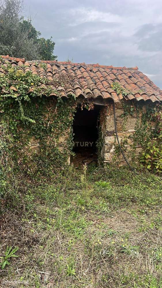 Ruína com terreno e poço no centro histórico de Proença-a-Nova || Vist - Grande imagem: 3/7