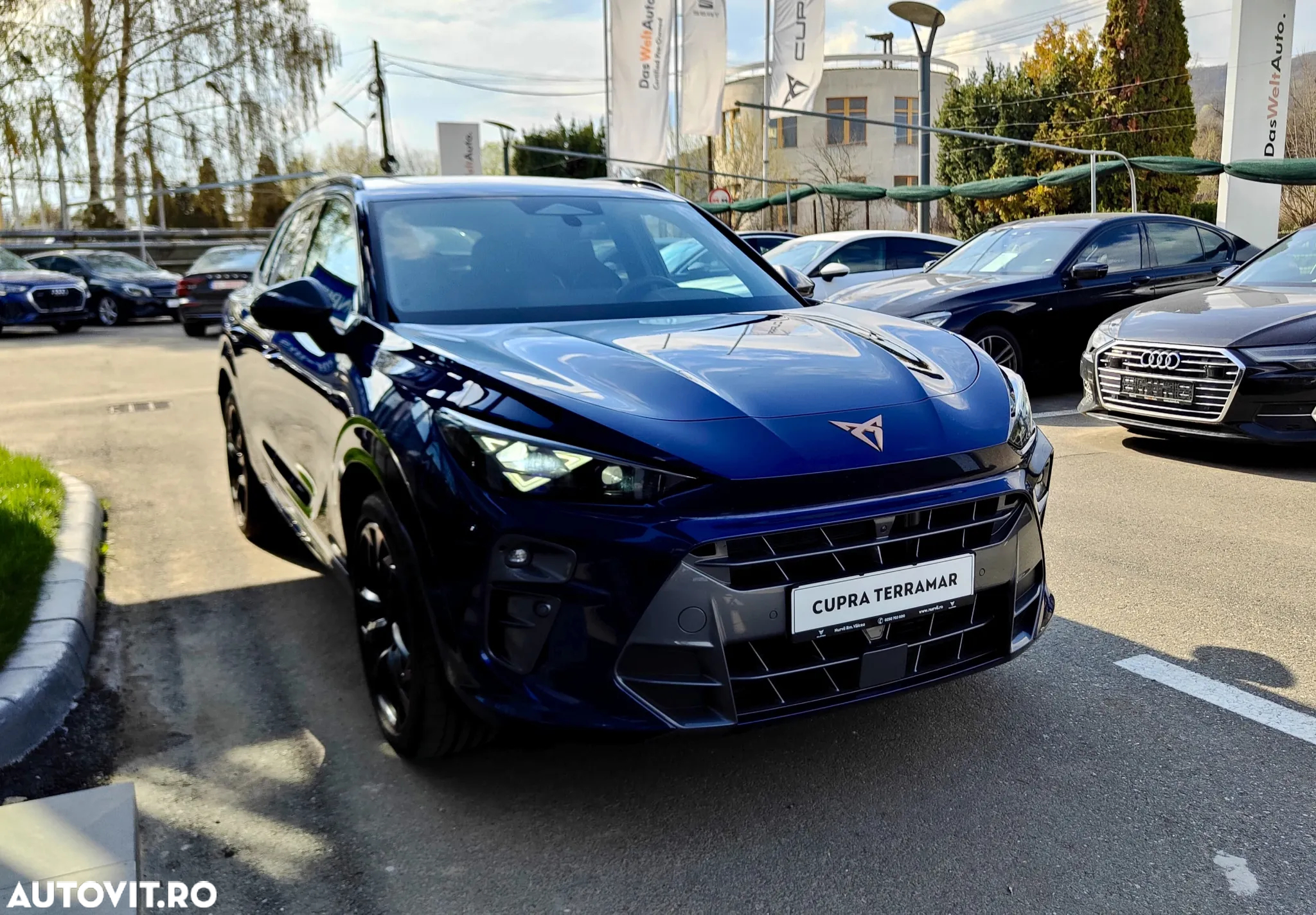 Cupra Terramar - 6