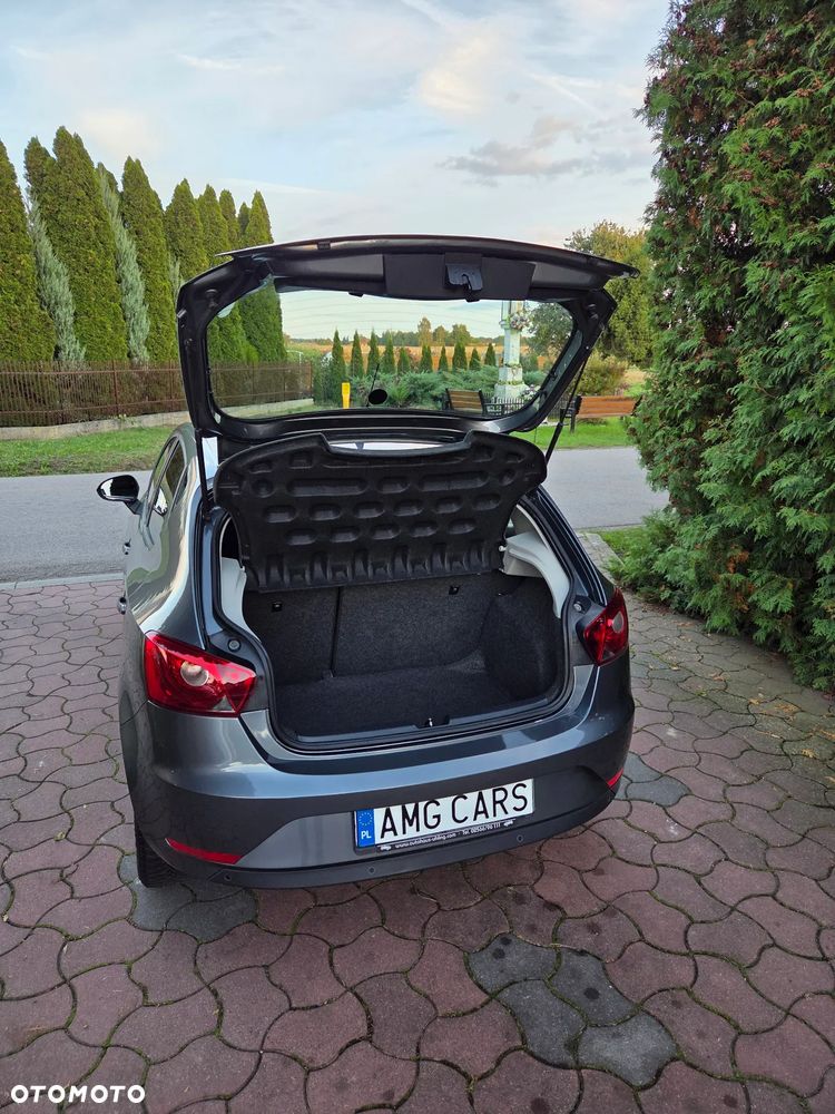 Seat Ibiza - 28