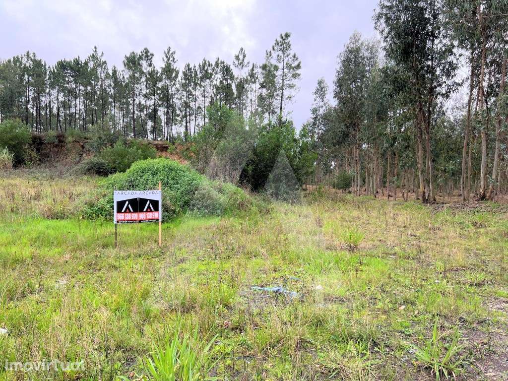 Lote de terreno para construção no Carregal, Requeixo - Grande imagem: 3/10
