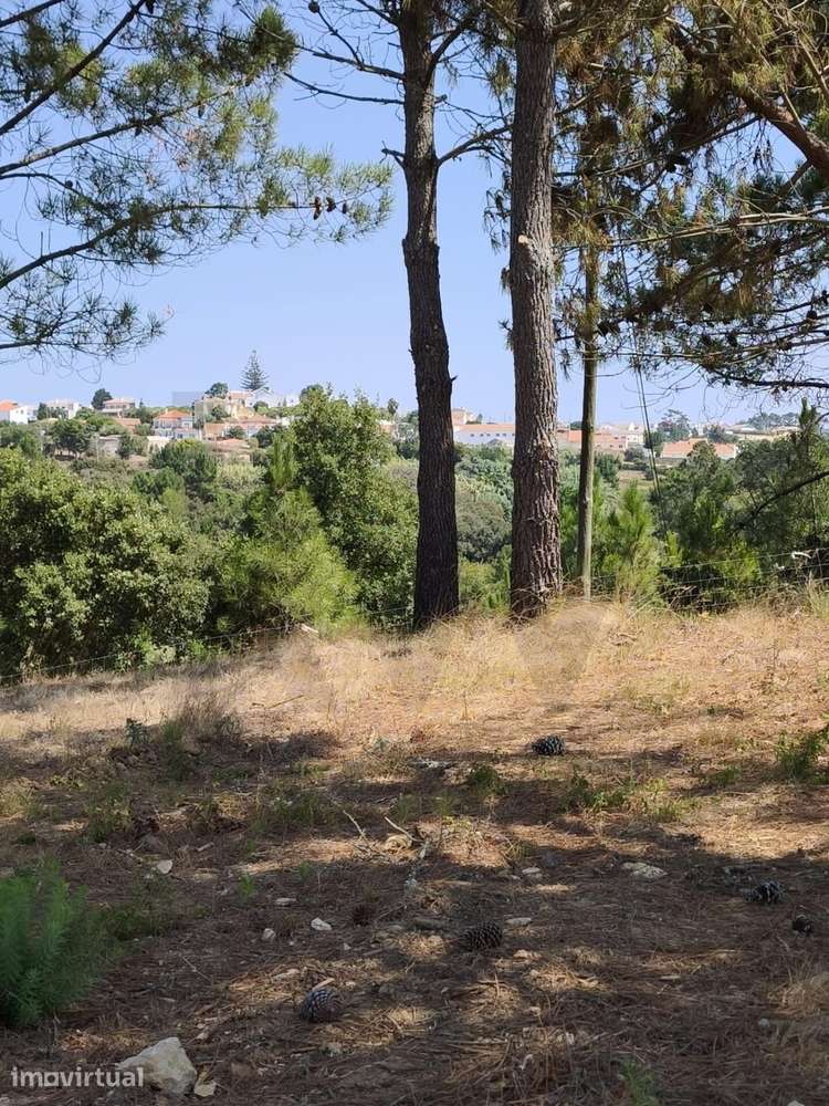 Terreno urbano com 1900m2 no Sobreiro | Mafra - Grande imagem: 5/28