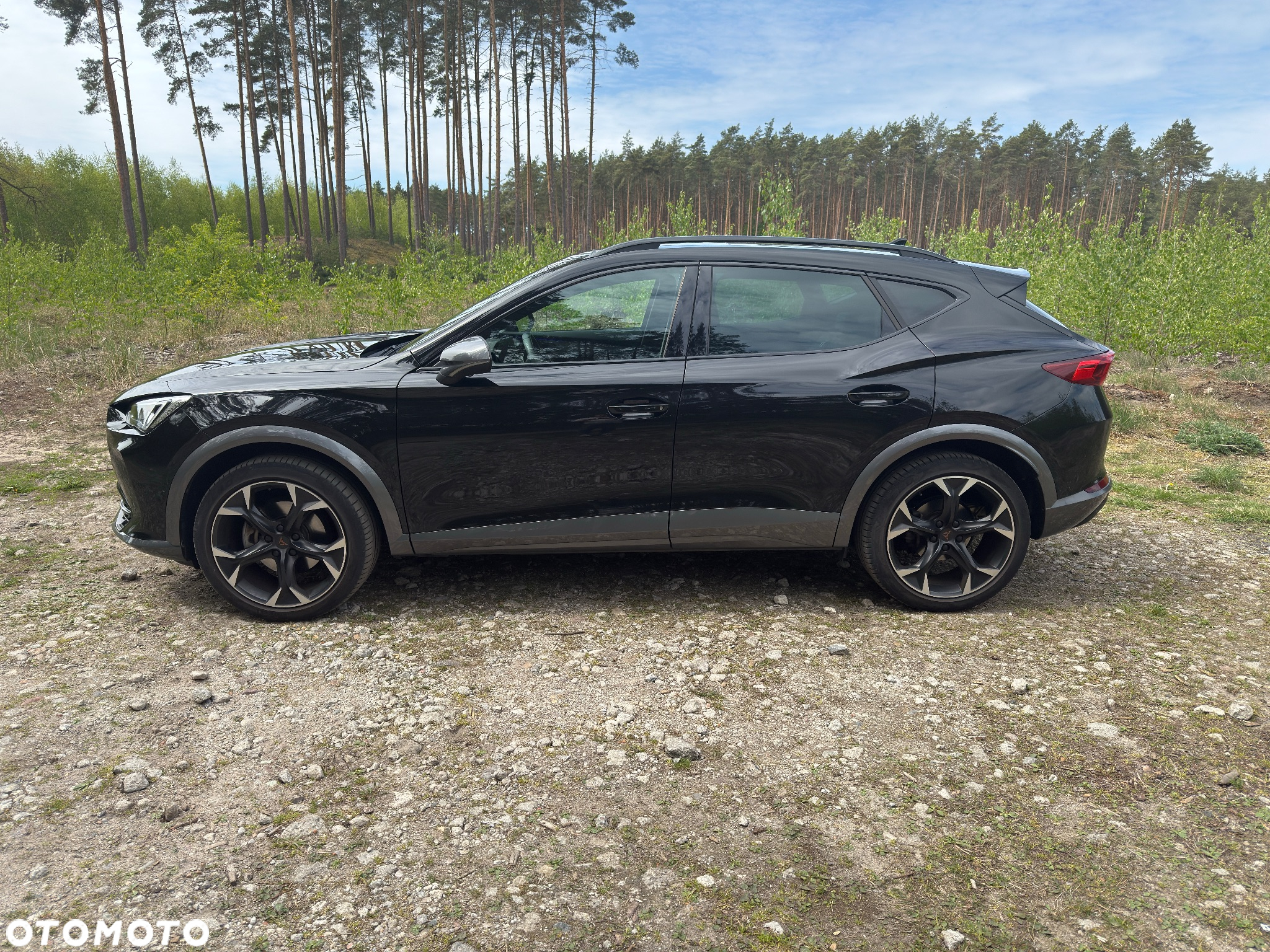 Cupra Formentor 1.5 TSI DSG - 3