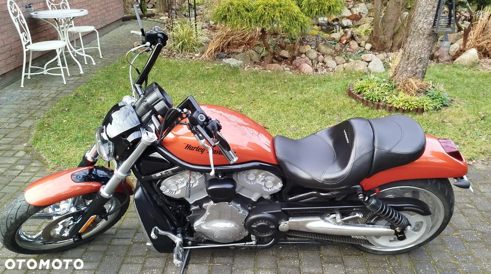 Harley-Davidson Softail V-Rod - 27