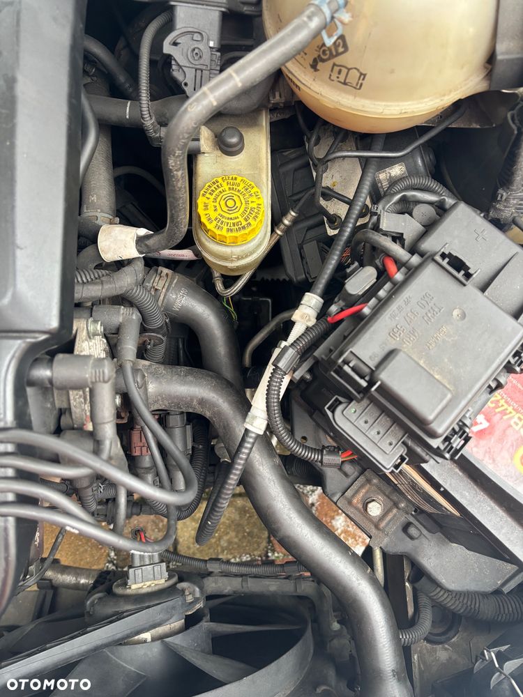 Volkswagen Polo 1.4 Basis - 18