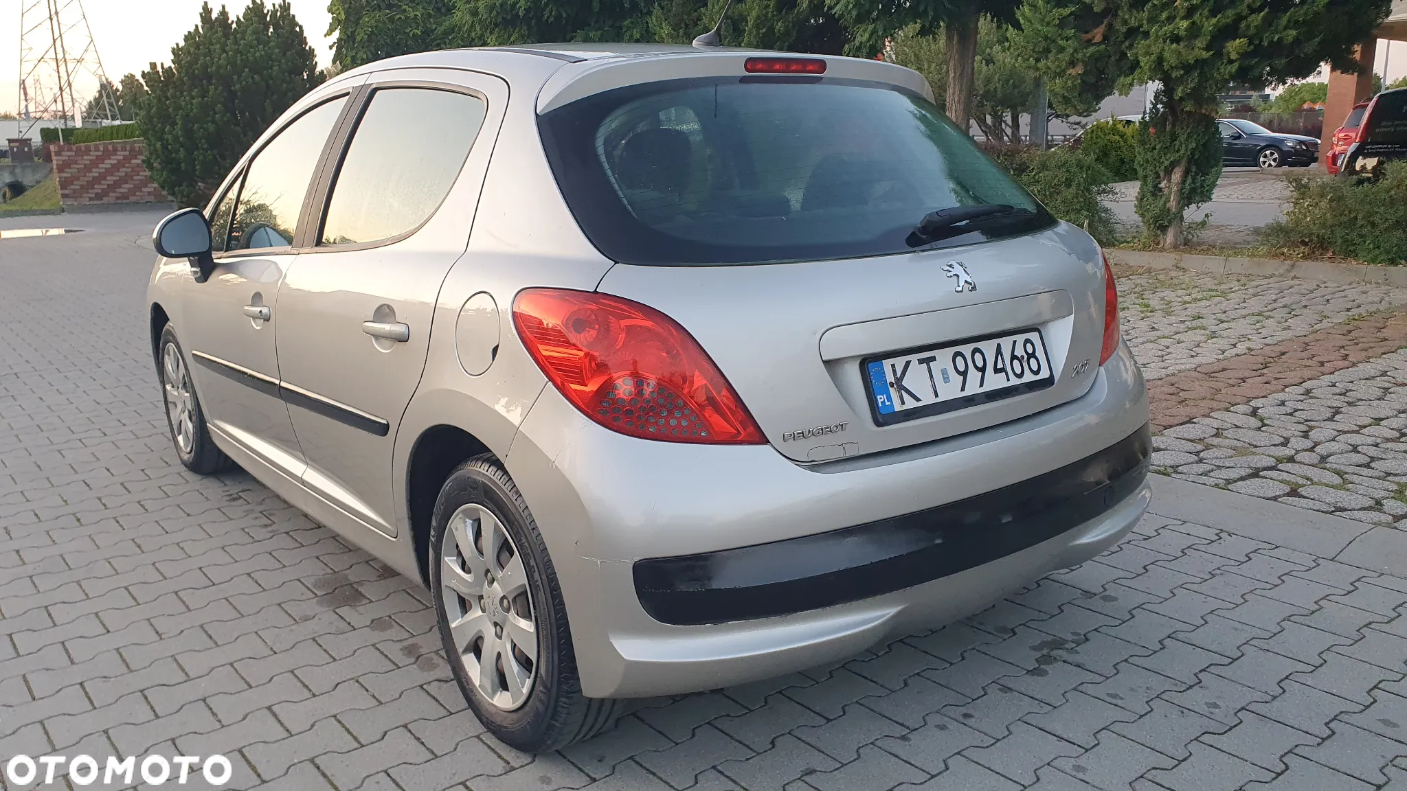 Peugeot 207 - 12