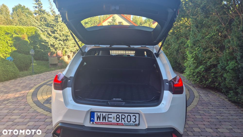 Lexus UX 250h Business Edition - 9