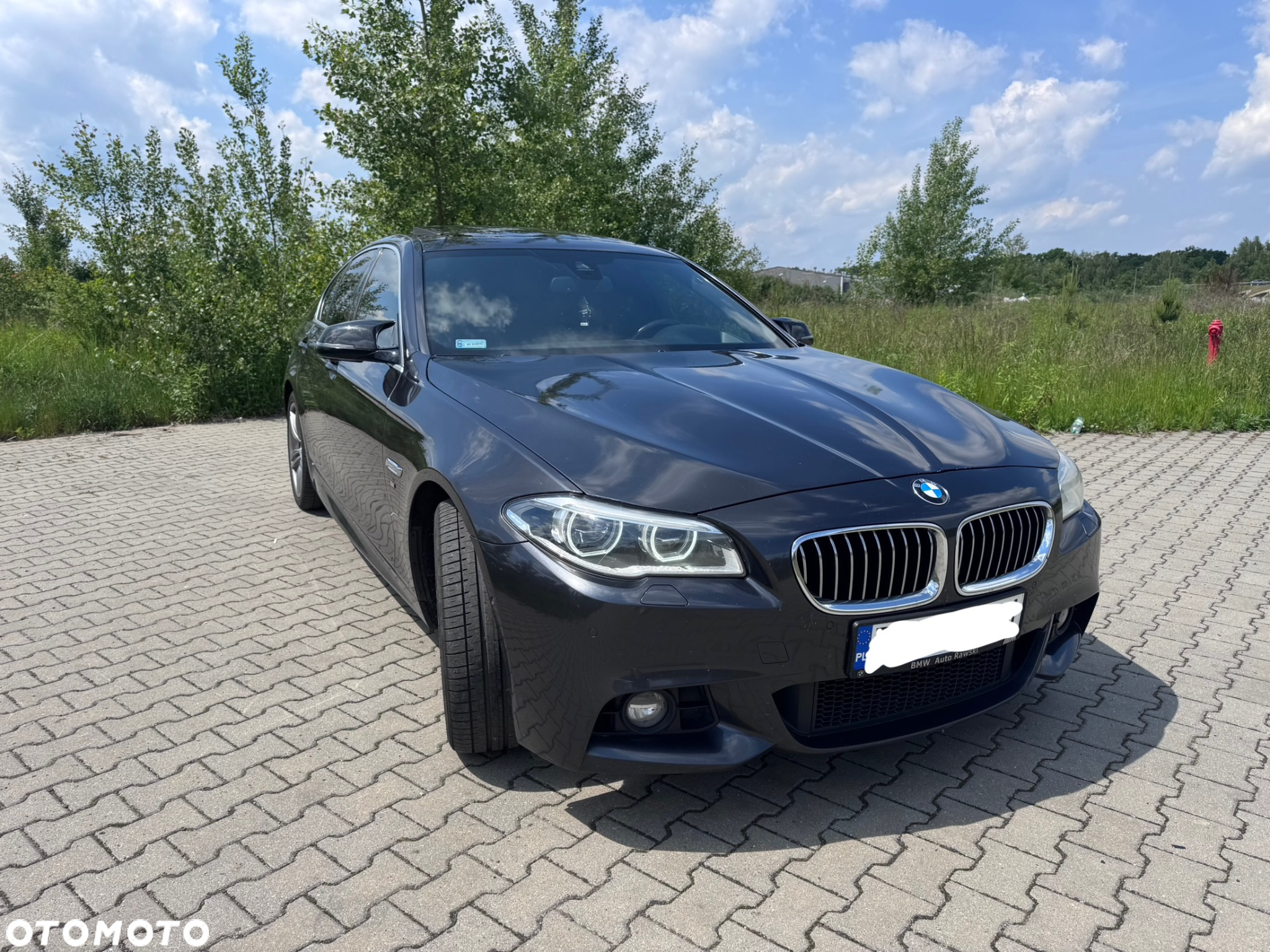 BMW Seria 5 520d xDrive - 6