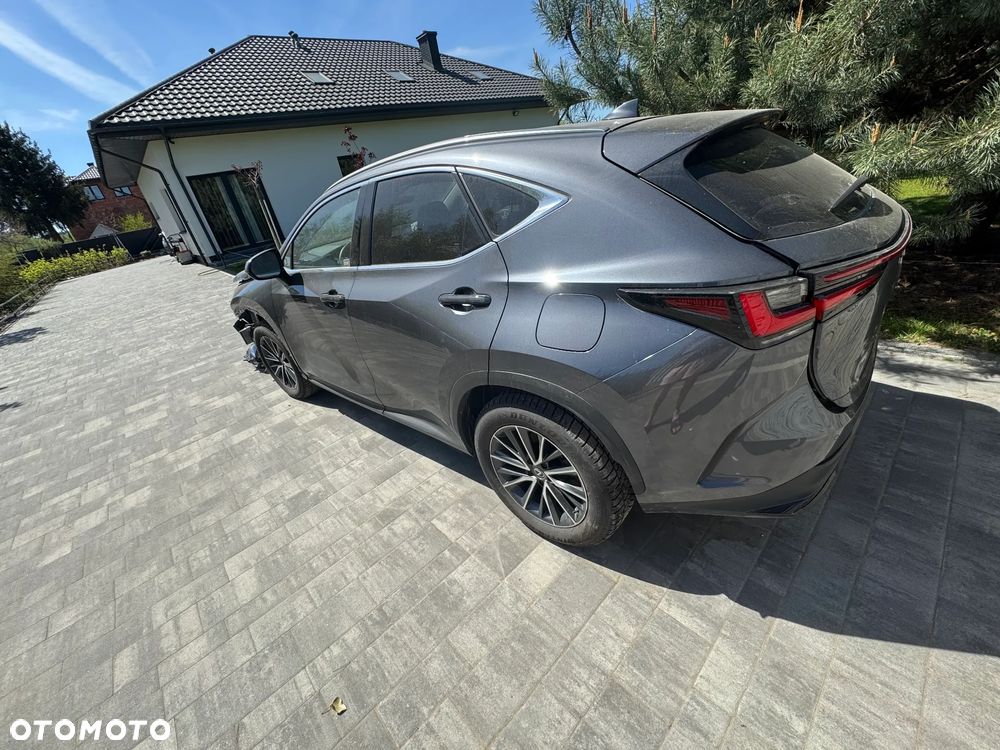 Lexus NX 350h Business 2WD - 2