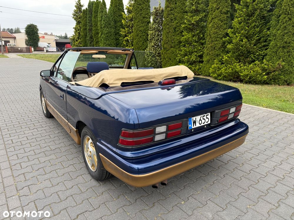 Dodge Inny - 10