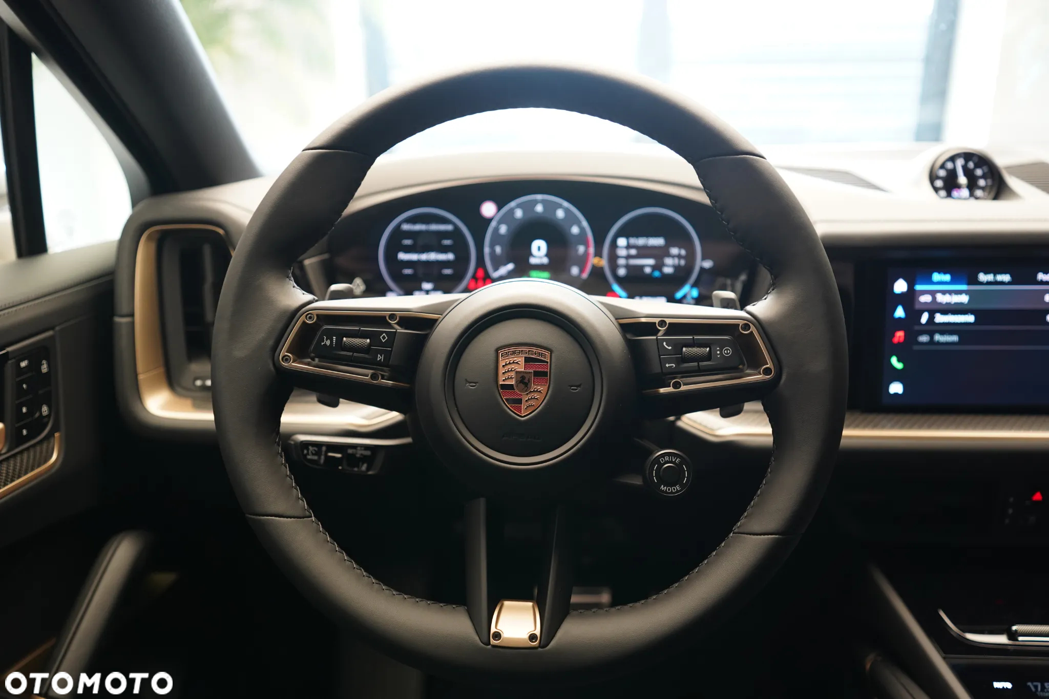 Porsche Cayenne Coupe S E-Hybrid PHEV - 15