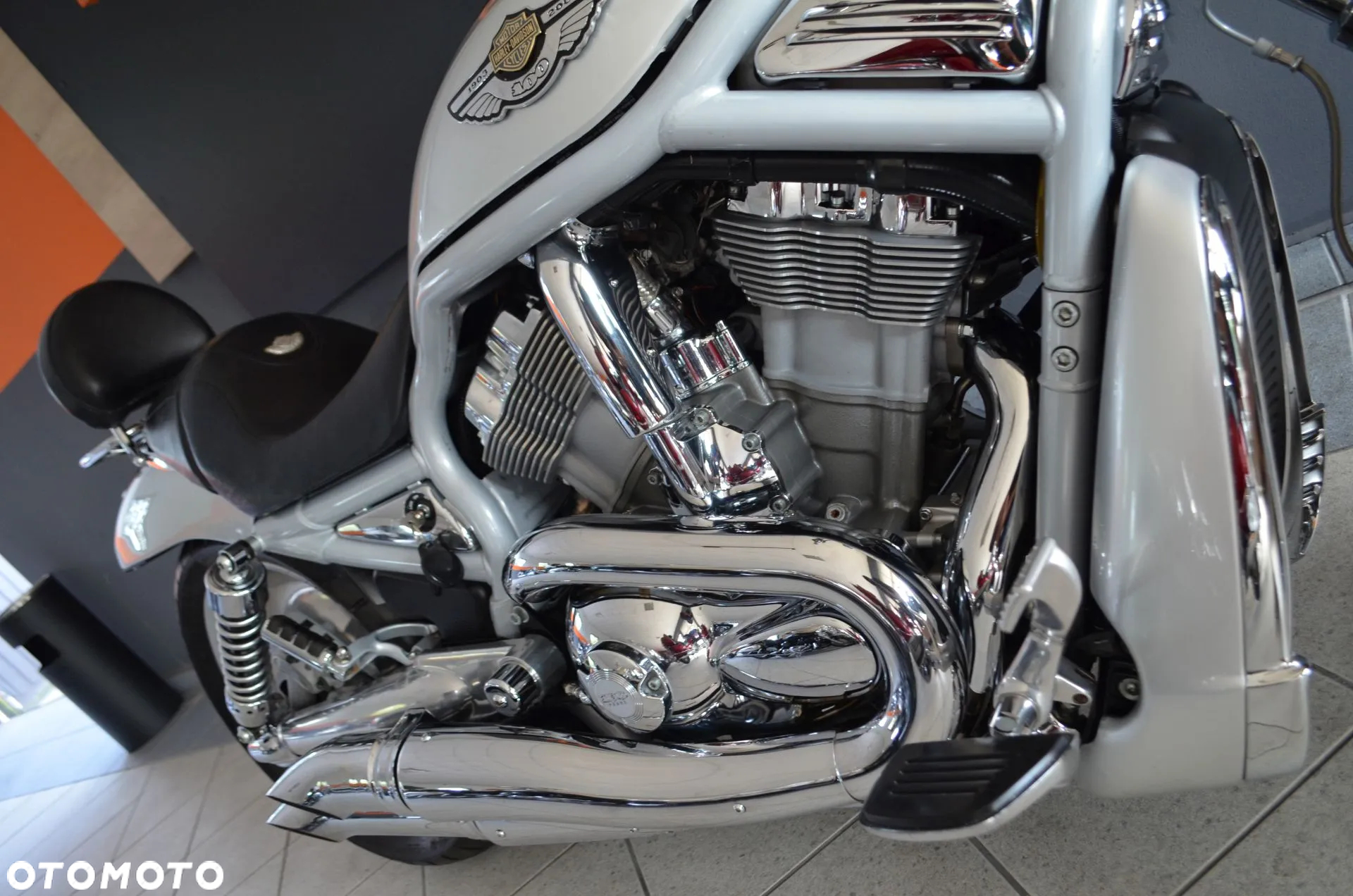 Harley-Davidson Softail V-Rod - 10