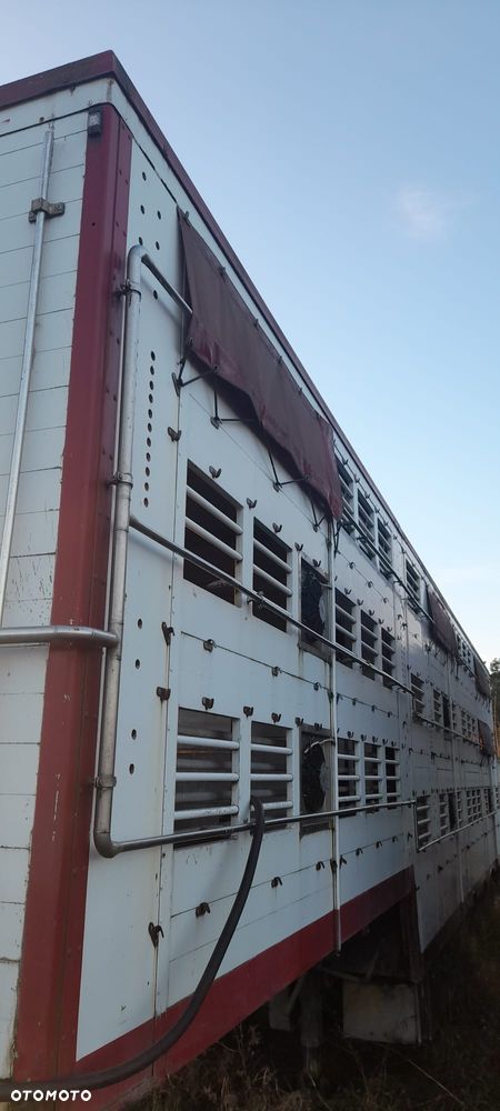 Zorzi 36s 136/19 LA - 26