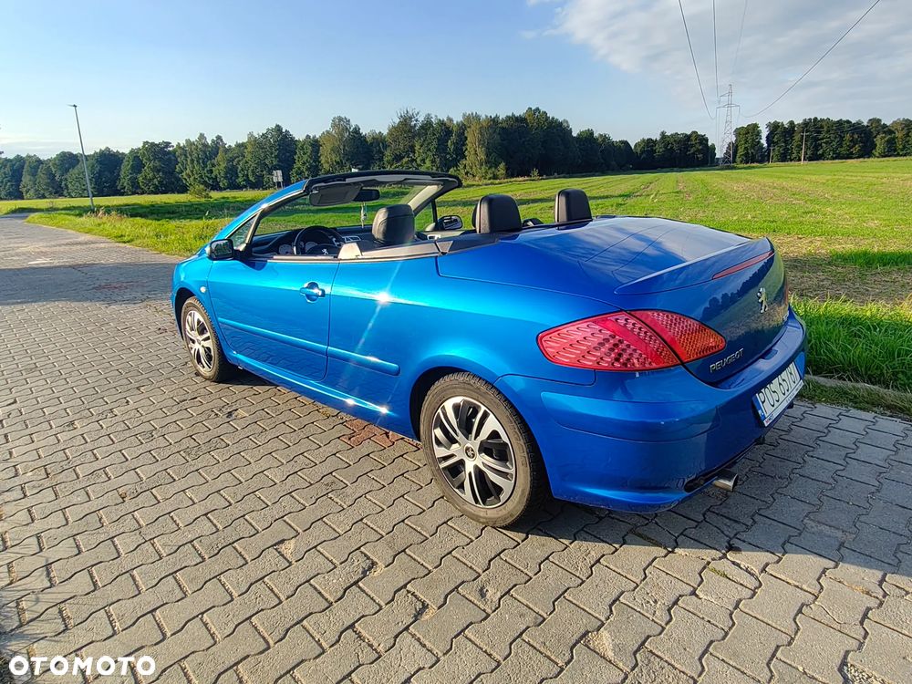 Peugeot 307 CC 2.0 - 13