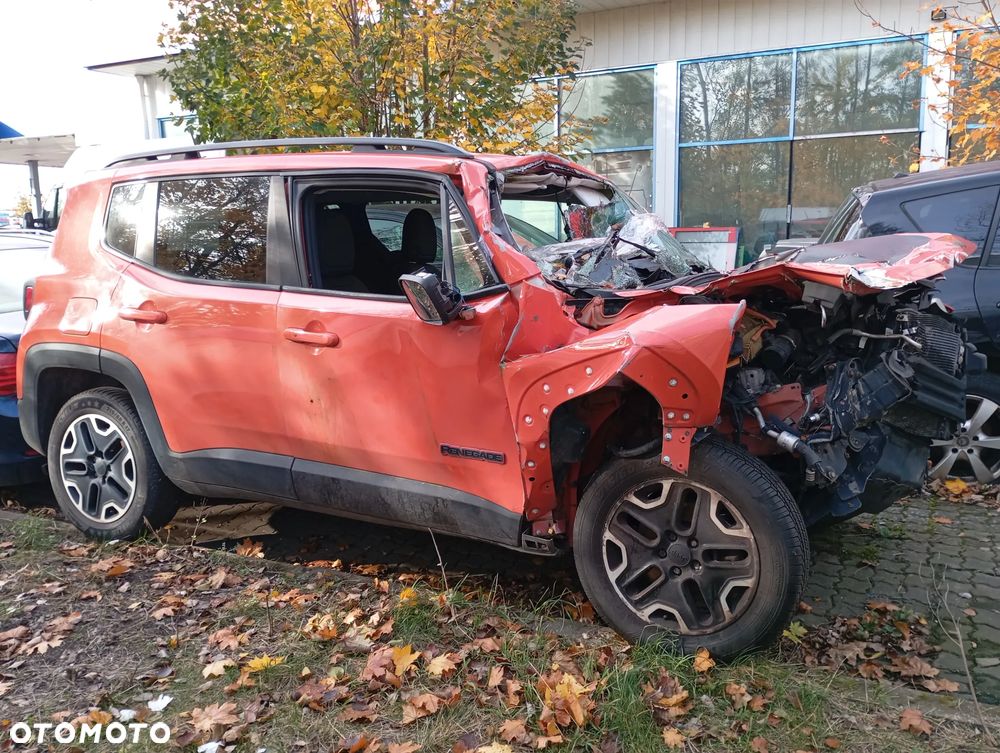 Jeep Renegade 2.0 MultiJet Trailhawk 4WD S&S - 5