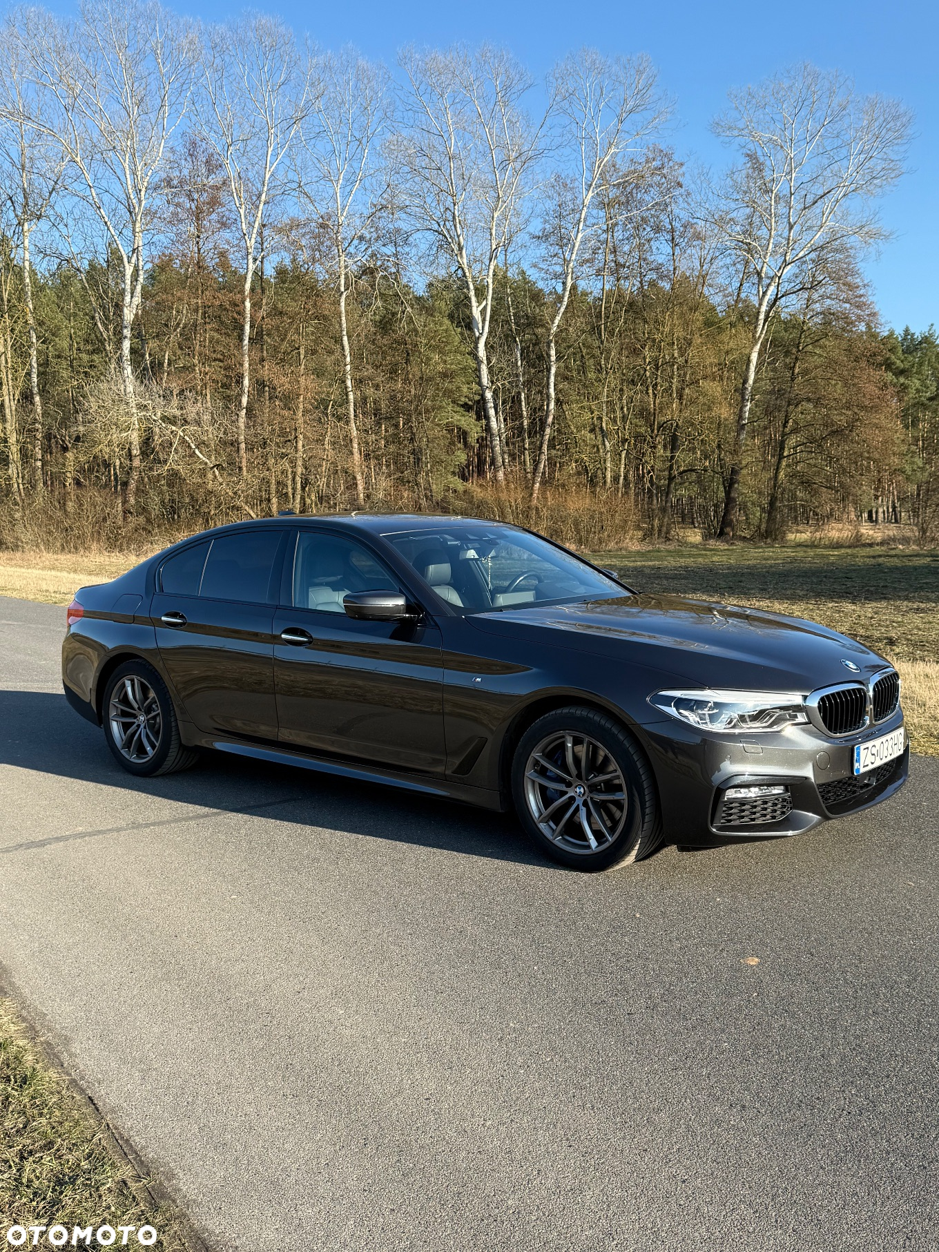 BMW Seria 5 530d xDrive M Sport sport - 2
