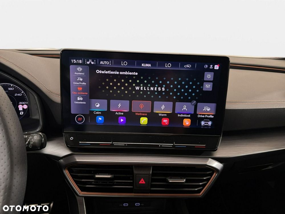 Cupra Formentor - 31