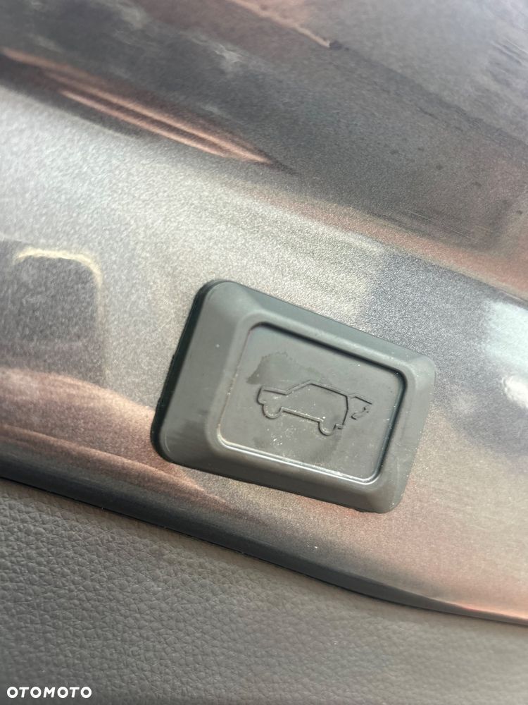 Toyota RAV4 Hybrid Platinum 4x4 - 18