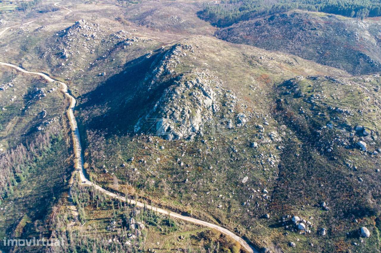 Terreno florestal com 4.2 hectares em Marco de Canaveses - Porto - Grande imagem: 3/7
