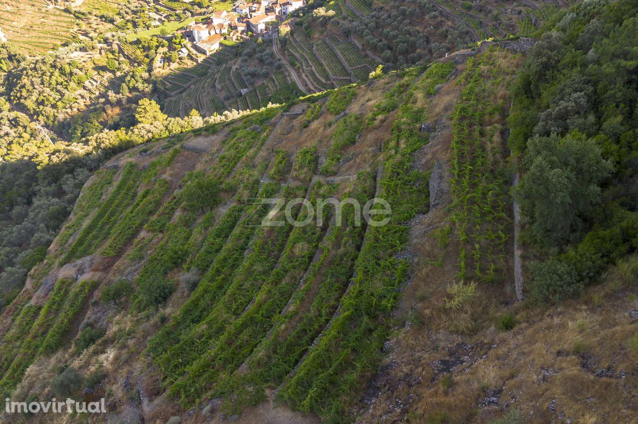 Terreno Rústico, S. Cristovão do Douro - Grande imagem: 3/15