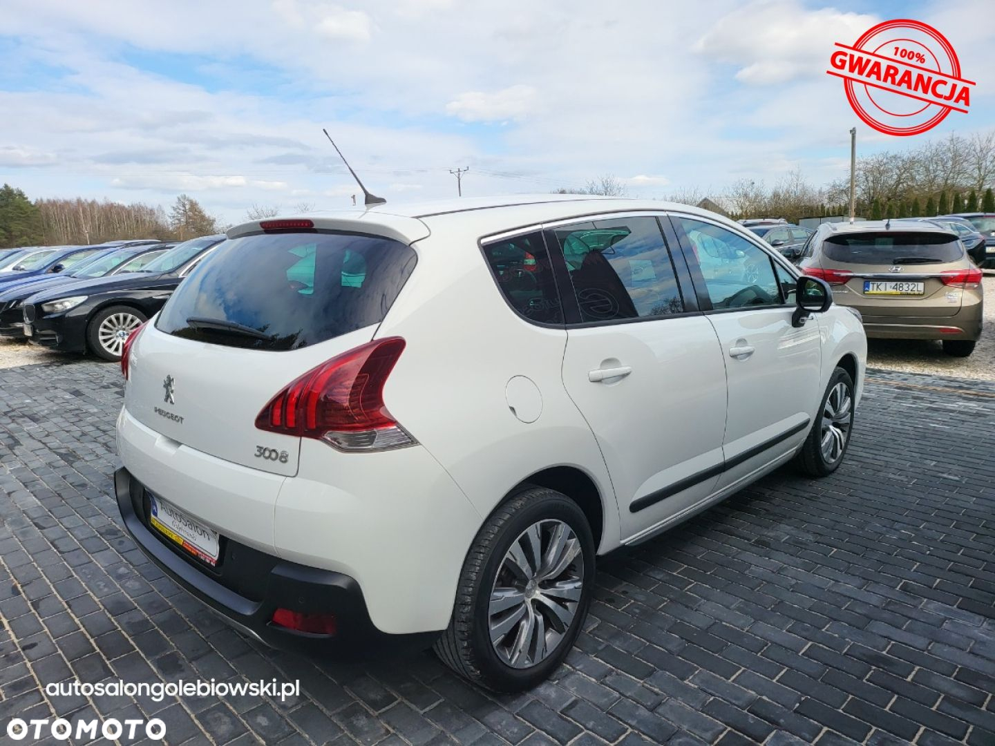Peugeot 3008 - 14