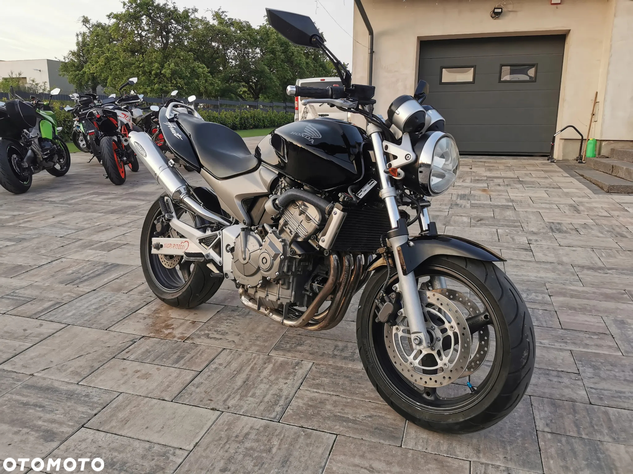 Honda Hornet - 29