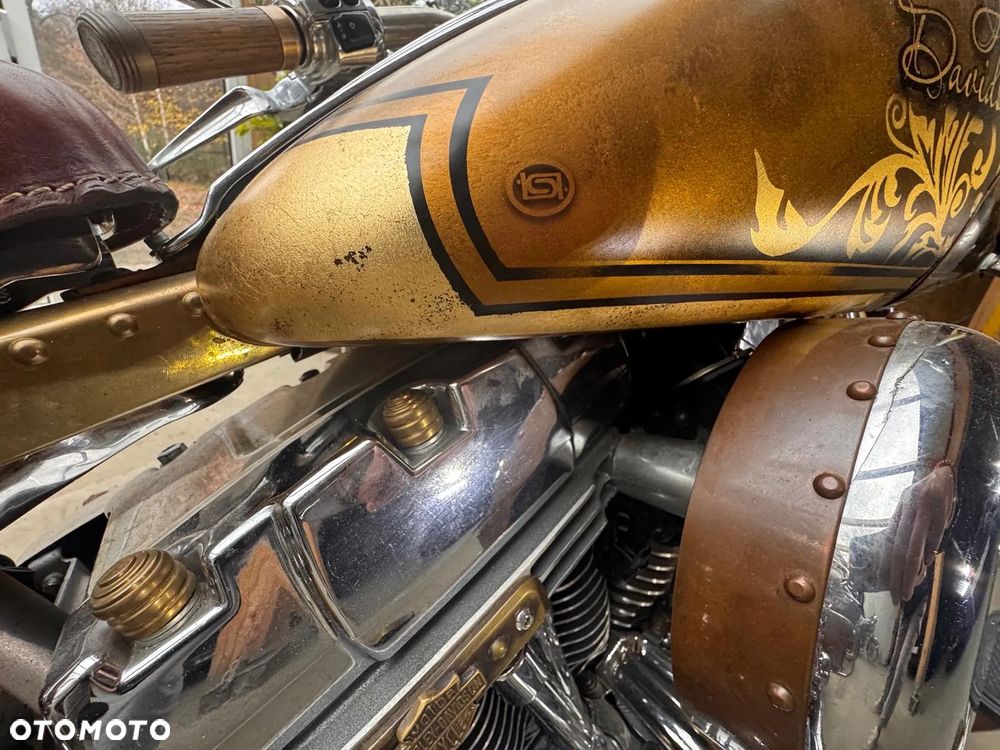 Harley-Davidson Softail Heritage Classic - 10