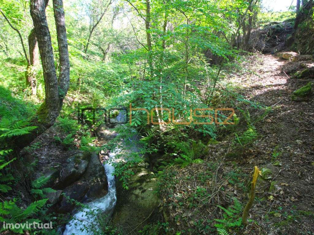 Quinta de 5.6 ha - Varias edificações, ribeiro e vista Douro - Grande imagem: 3/38