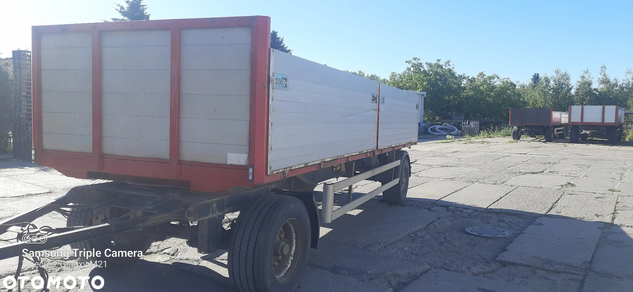 Ovibos P18BA - 4