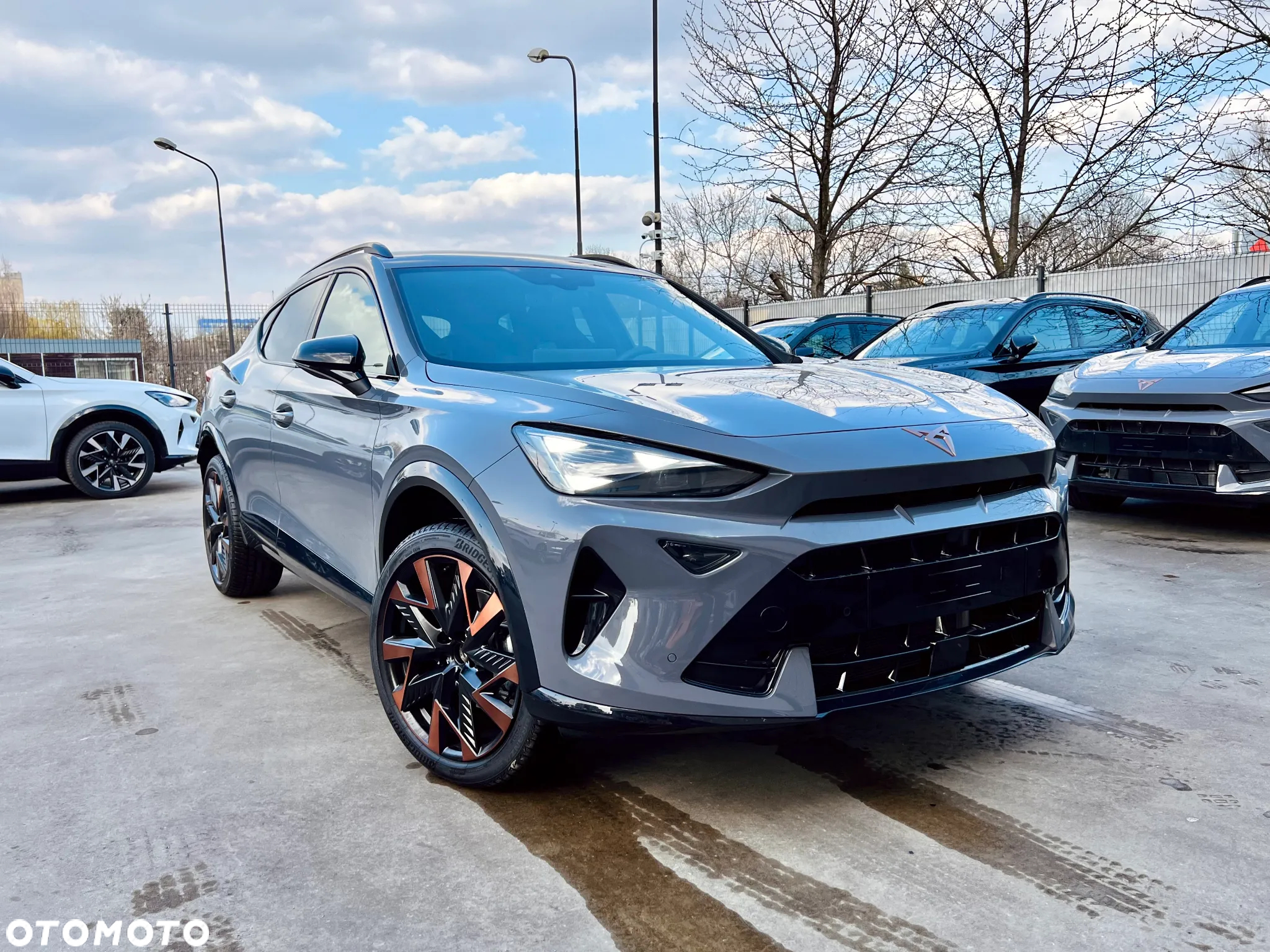 Cupra Formentor 1.5 TSI DSG - 2