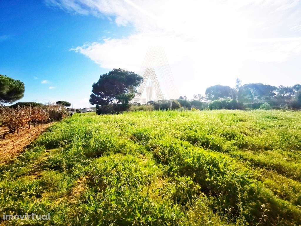 Oportunidade - Terreno em Aldeia do Meco - Grande imagem: 2/11