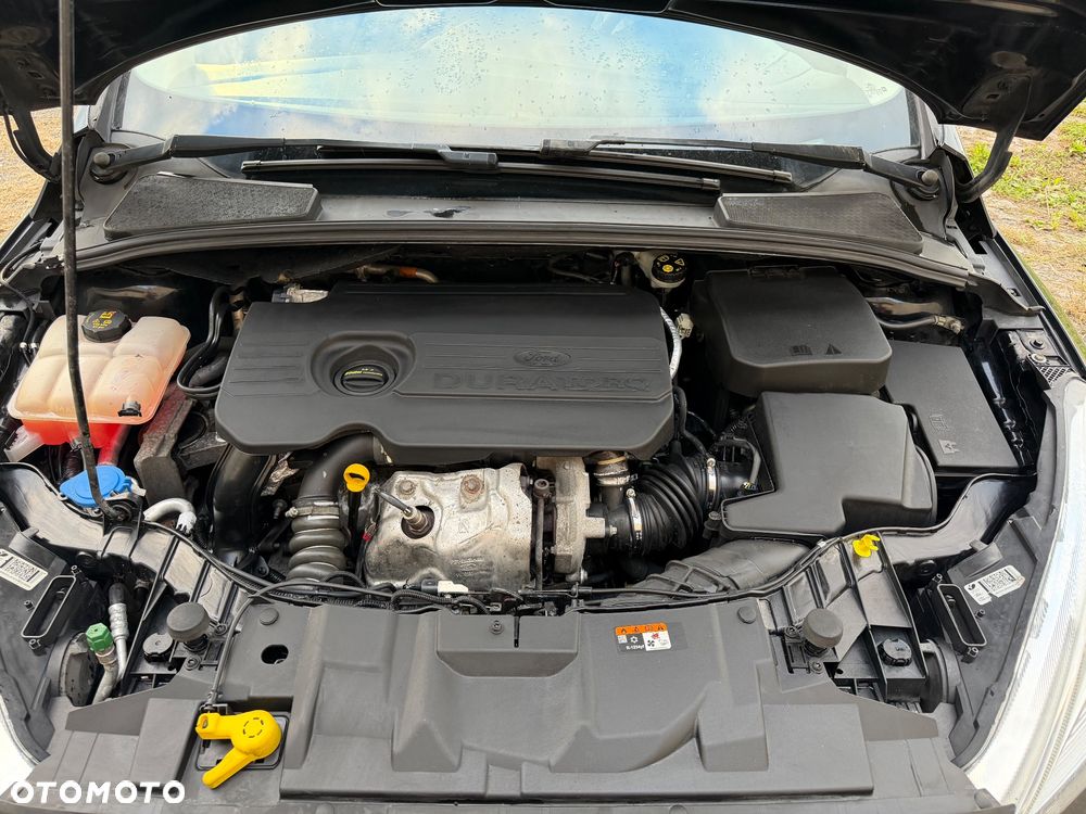 Ford Focus - 19