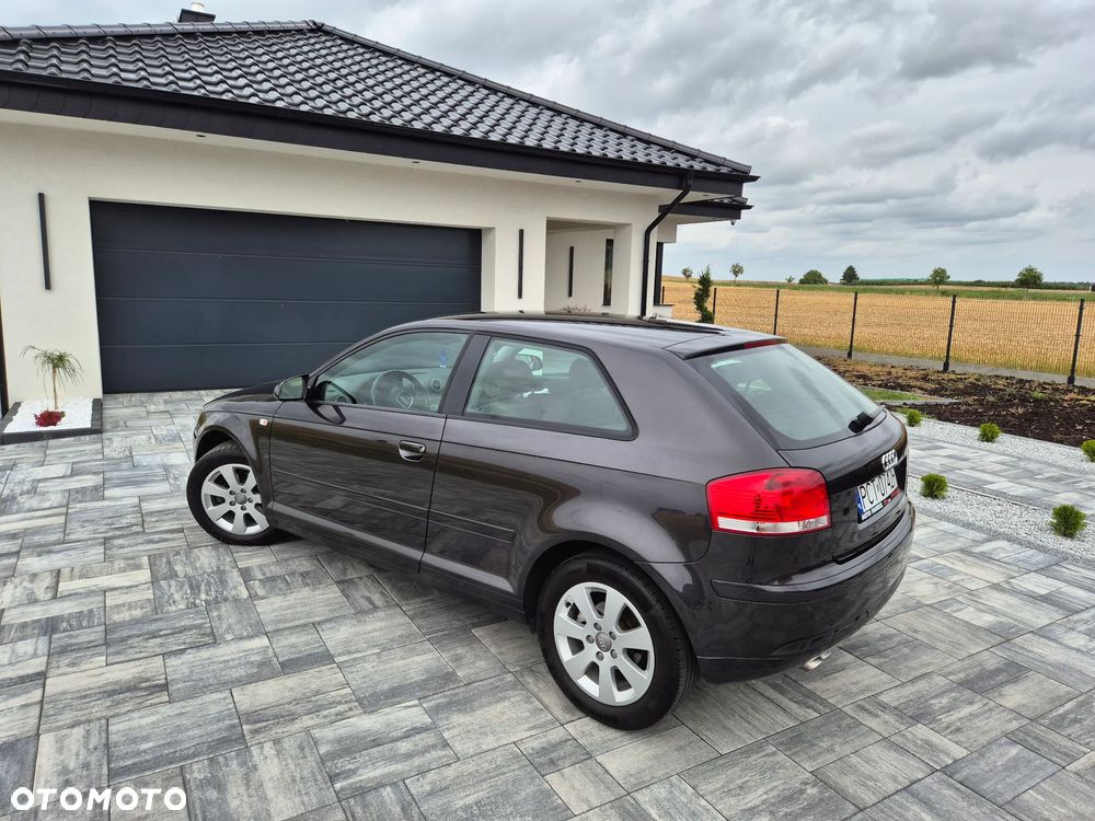 Audi A3 3-drzwiowe 1.9 TDI Ambiente - 16