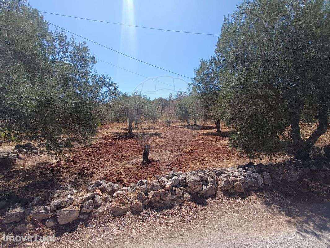 Terreno  para venda - Grande imagem: 5/11