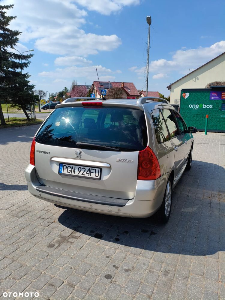 Peugeot 307 1.6 - 14
