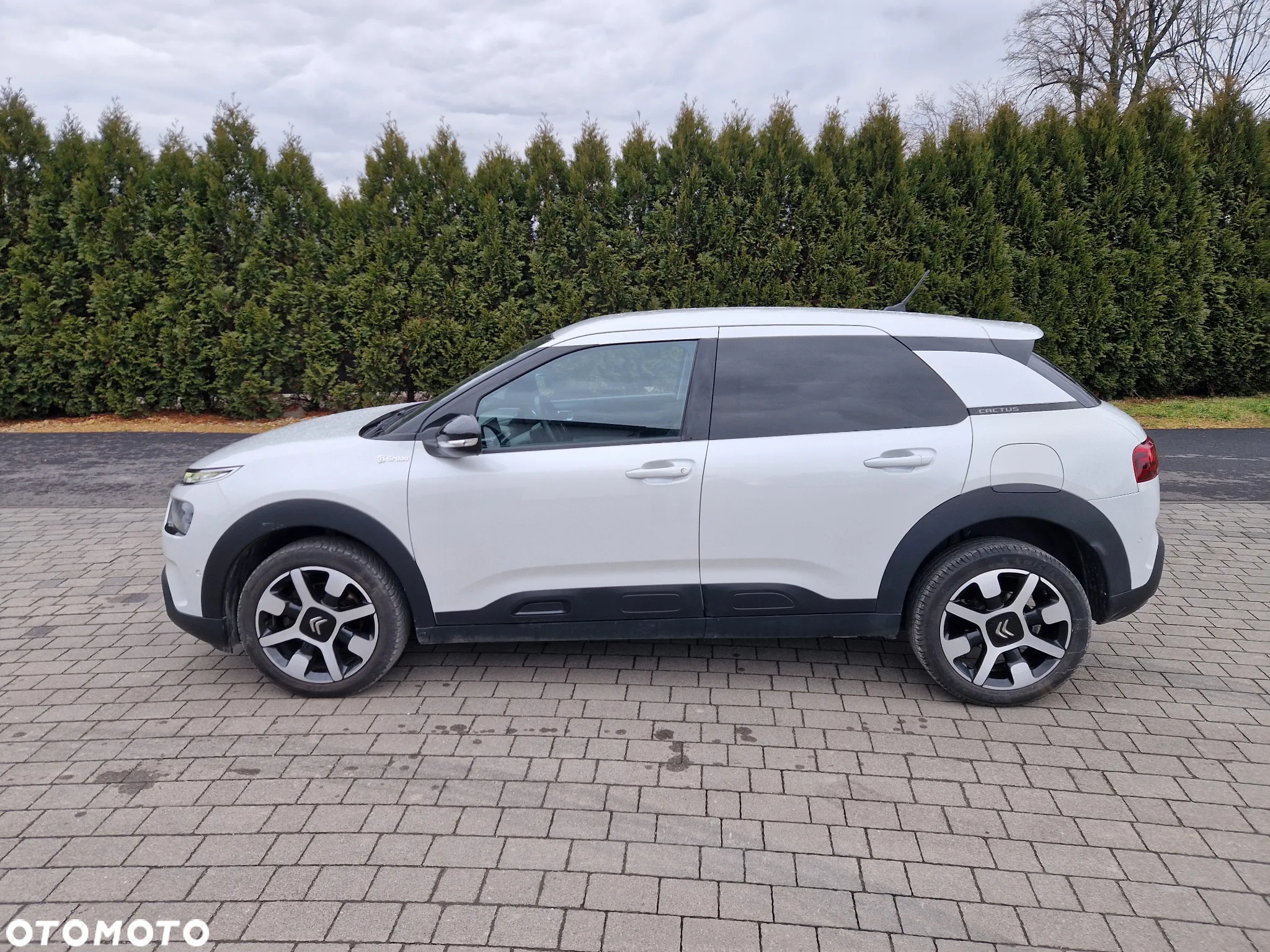 Citroën C4 Cactus BlueHDi 120 Stop&Start EAT6 Origins - 2