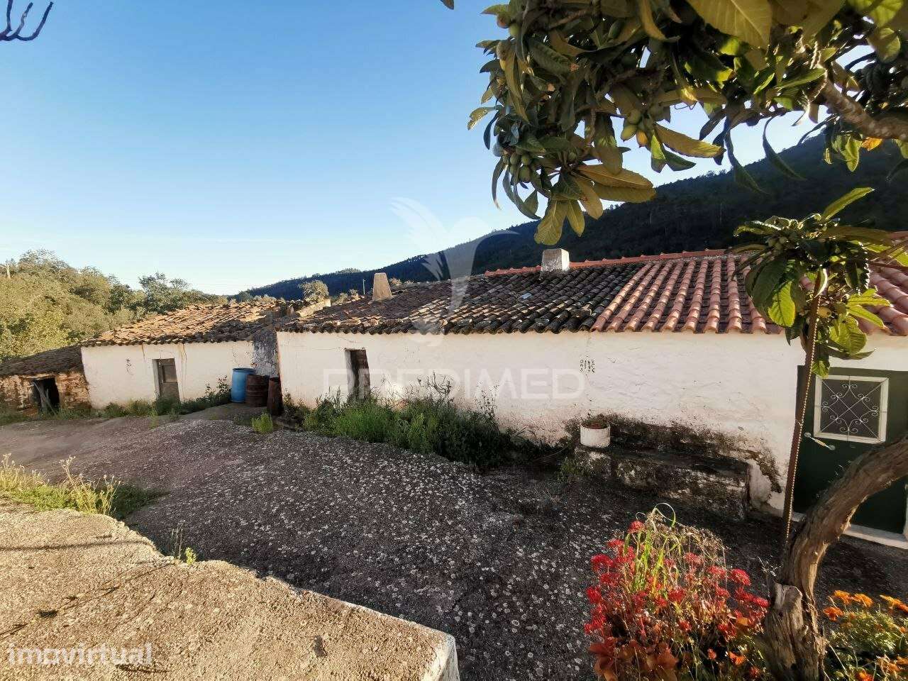 Casa de Campo - Grande imagem: 5/35