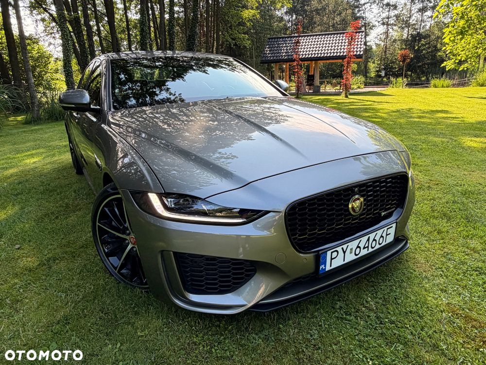 Jaguar XE P250 R-Dynamic S - 7