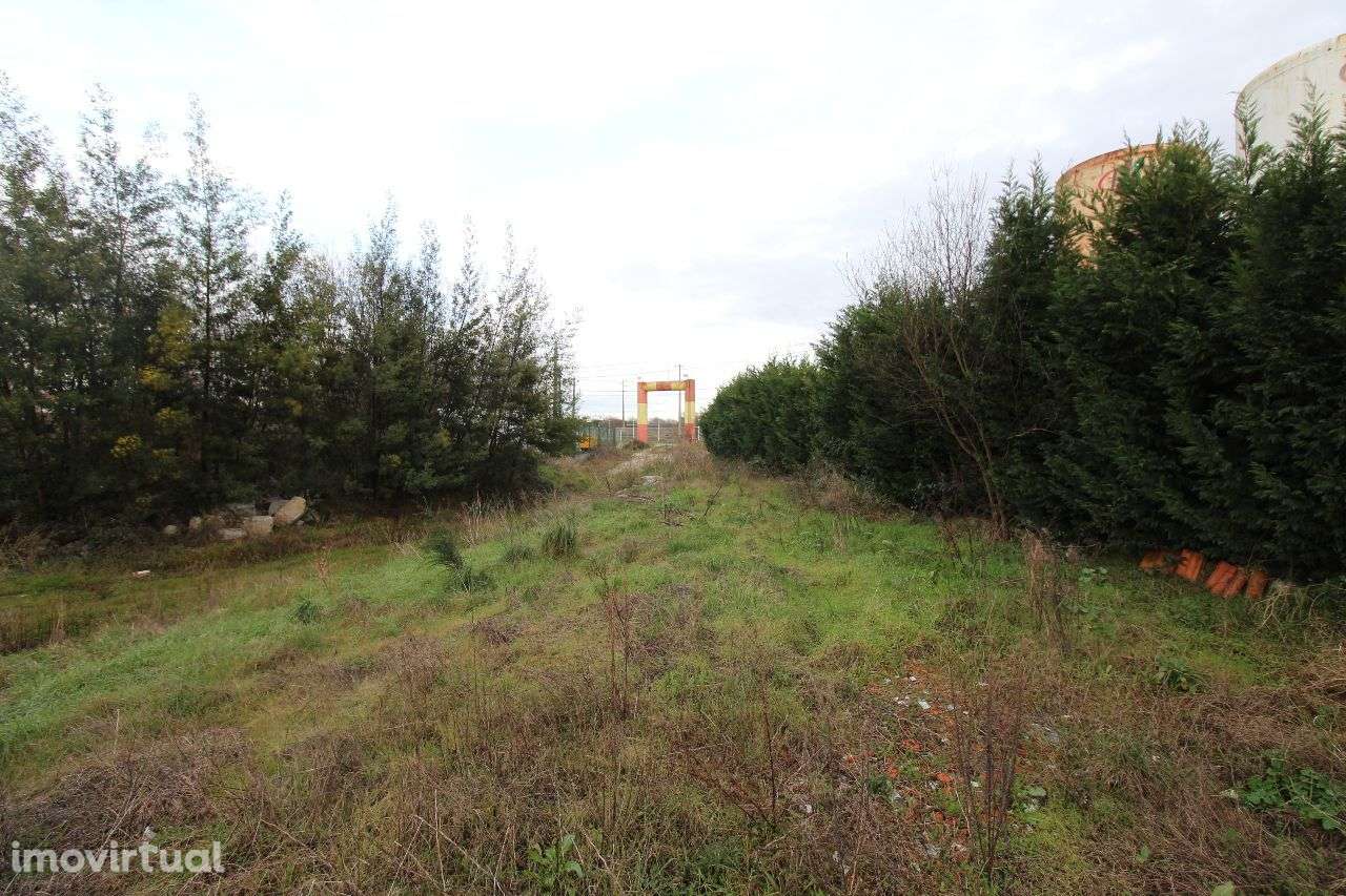 Terreno com 1 Hectare e Armazém - Grande imagem: 4/7