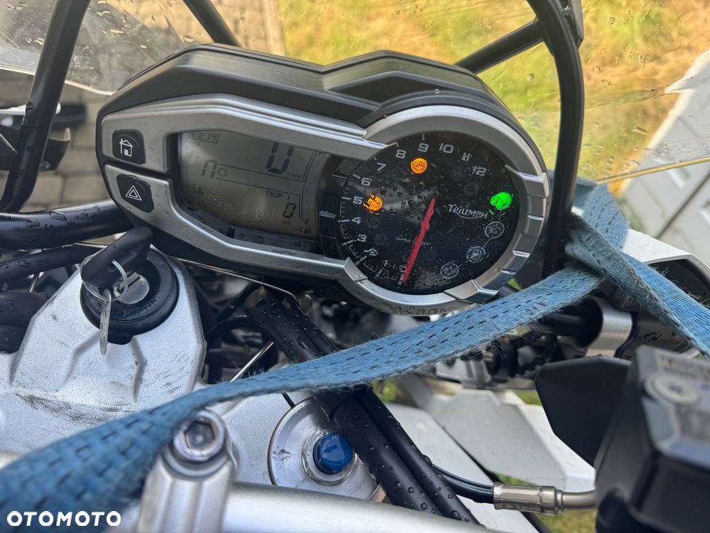 Triumph Tiger - 3