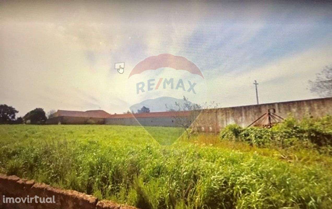 Terreno  para venda - Grande imagem: 4/4