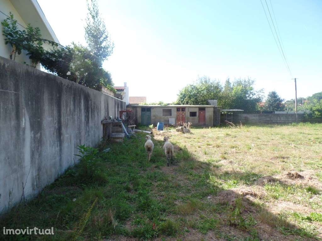 Terreno em Landim - Grande imagem: 4/10