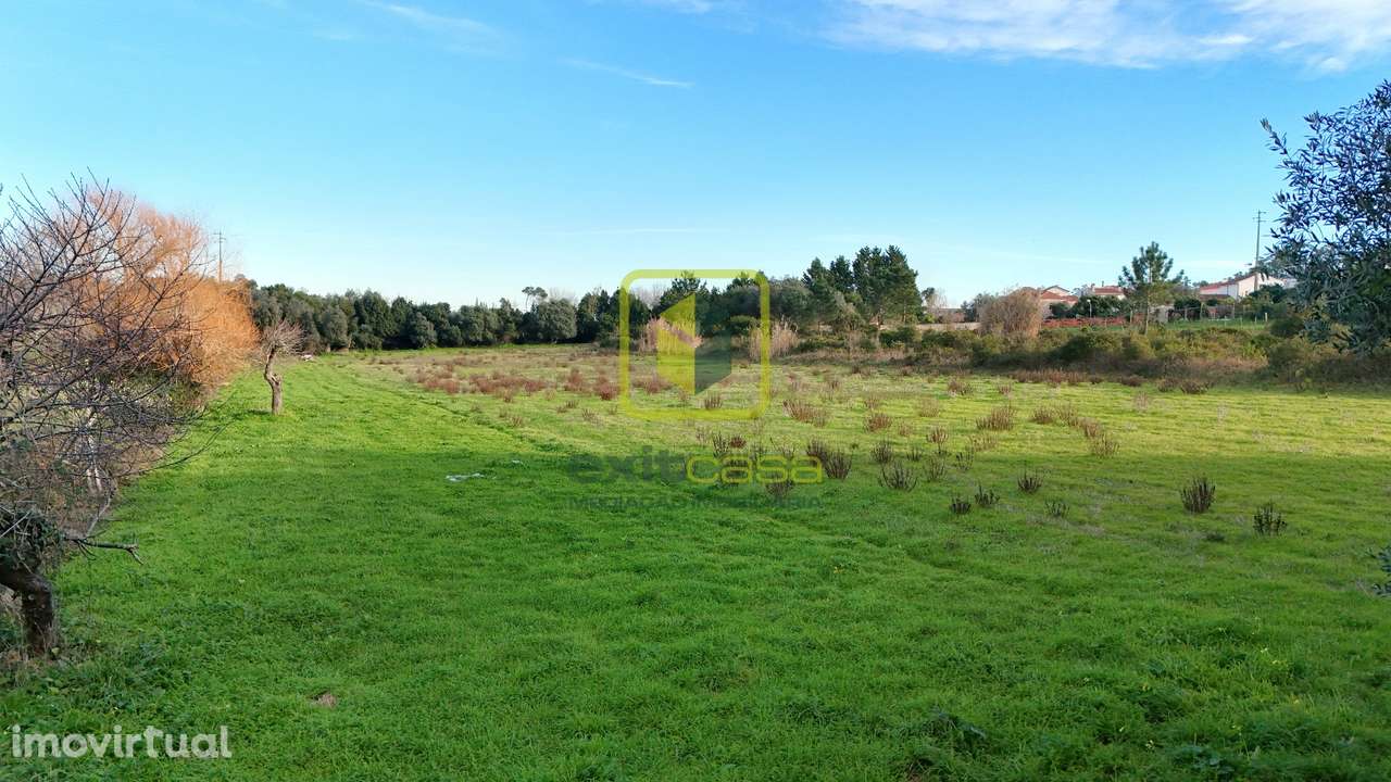 Terreno - Grande imagem: 2/7