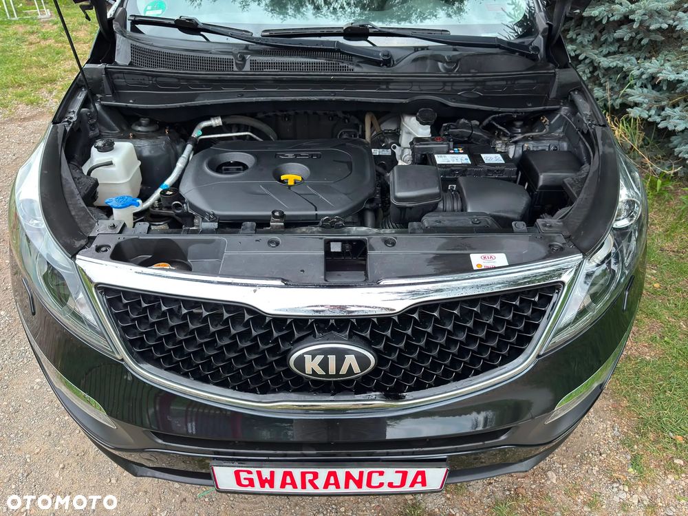 Kia Sportage - 10