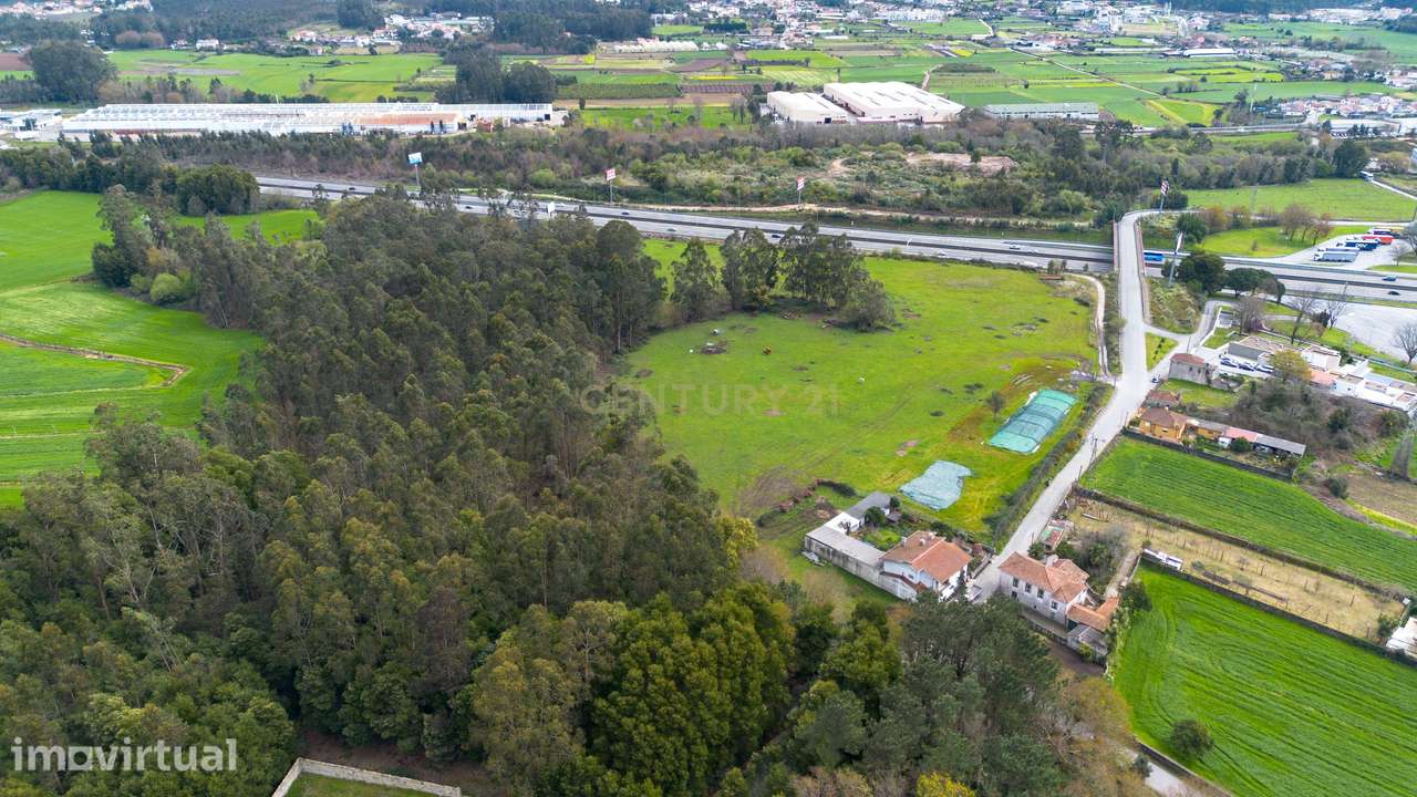 Terreno de 5,9 ha em São Mamede de Coronado – Excelente Potencial - Grande imagem: 3/7